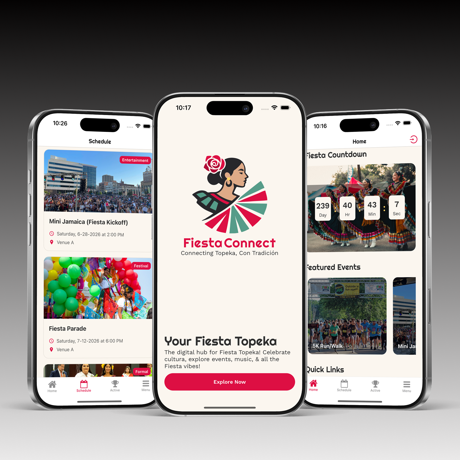 Fiesta Connect App